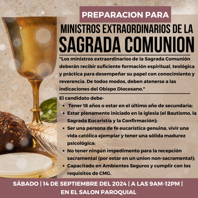 image-1002558-Holy_Comunion_training_Spanish_(1)-8f14e.w640.png