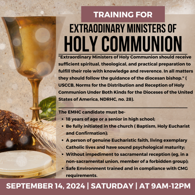 image-1002557-Holy_Comunion_training-9bf31.w640.png